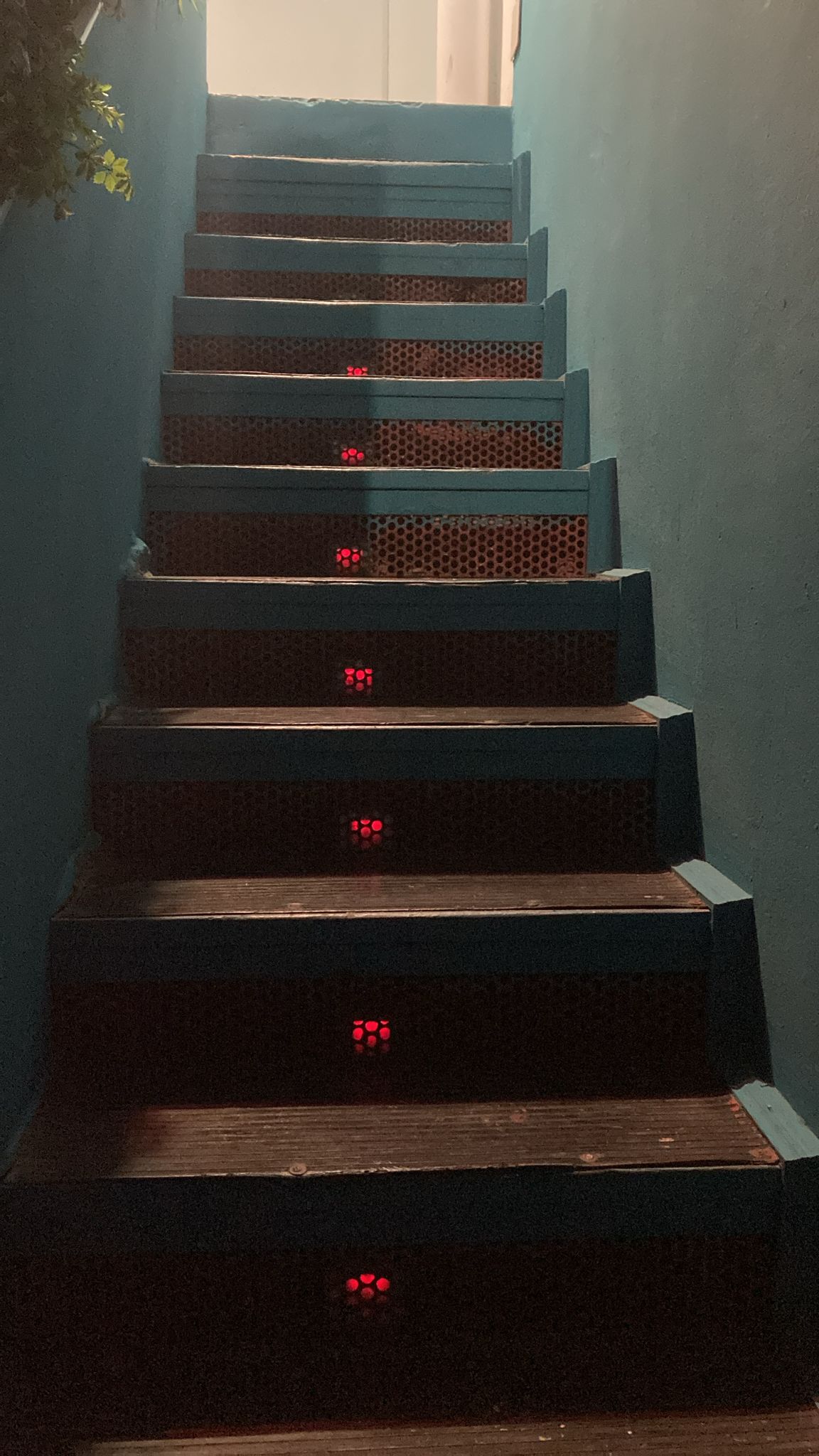 369-5